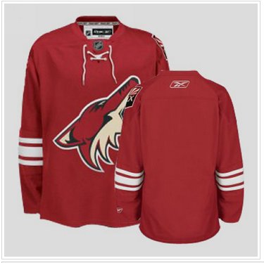 Phoenix Coyotes Blank Stitched Red Hockey Jersey