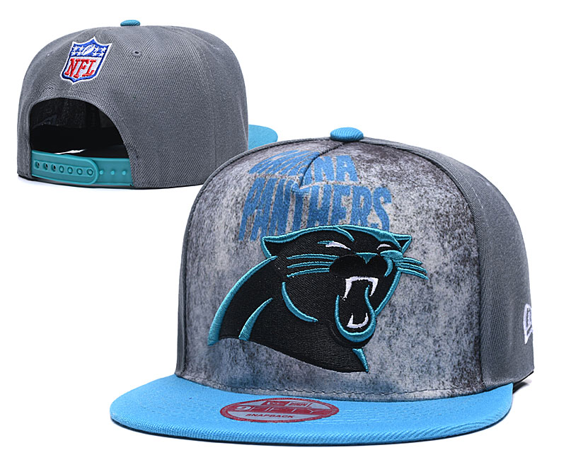 Panthers Team Logo Gray Adjustable Hat TX